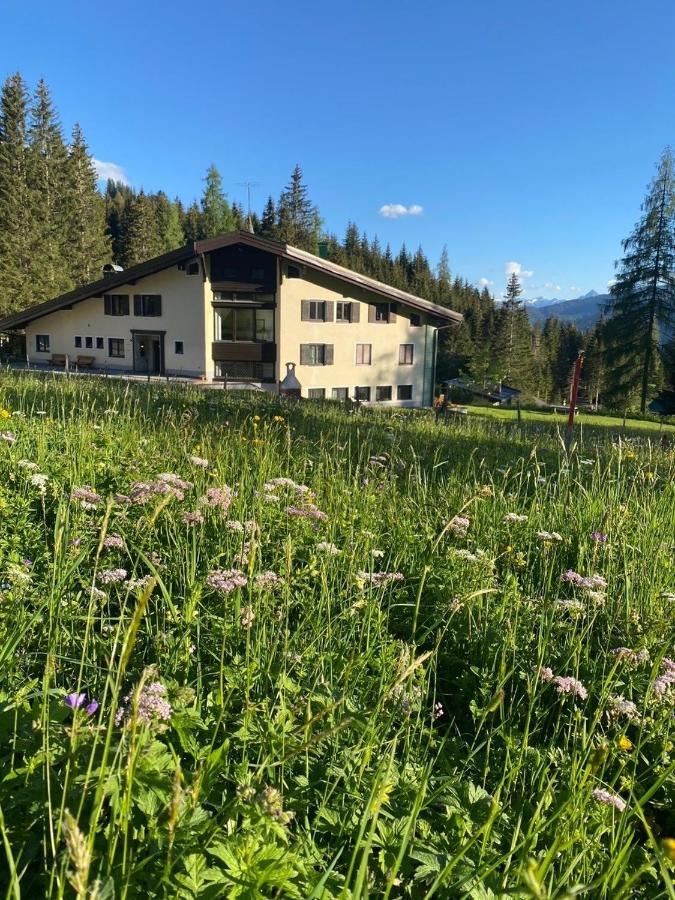Appartementhaus Hochkoenig - Panoramablick Мюльбах Экстерьер фото