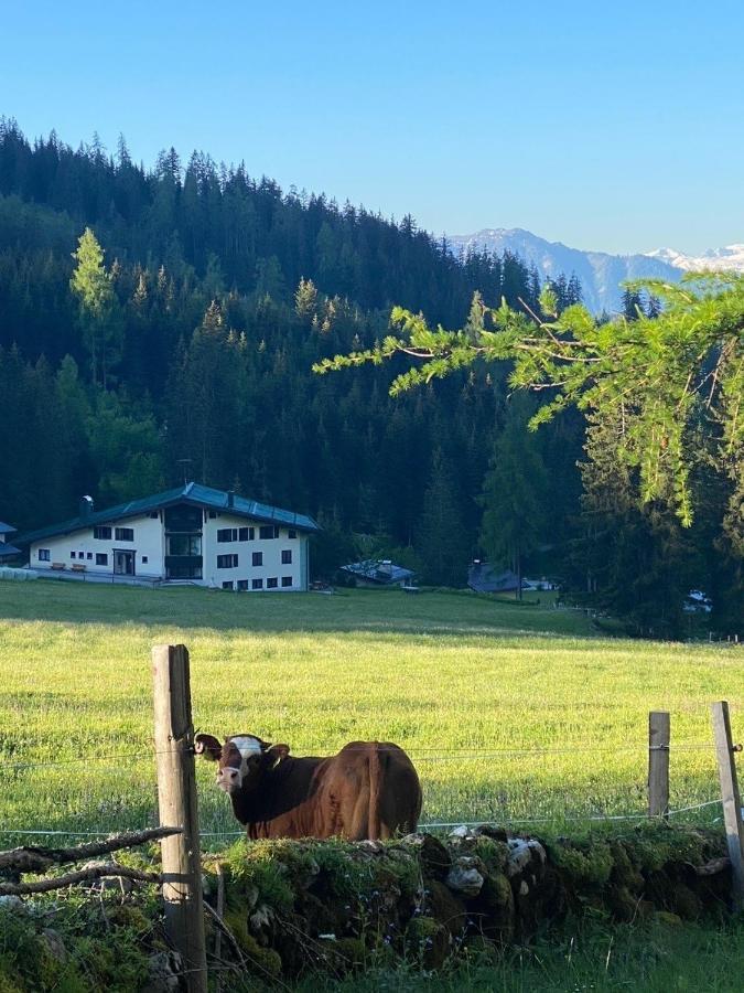 Appartementhaus Hochkoenig - Panoramablick Мюльбах Экстерьер фото