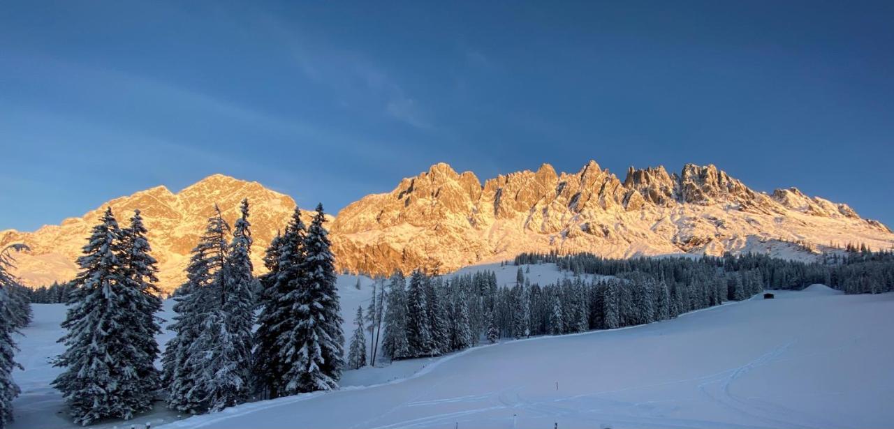 Appartementhaus Hochkoenig - Panoramablick Мюльбах Экстерьер фото
