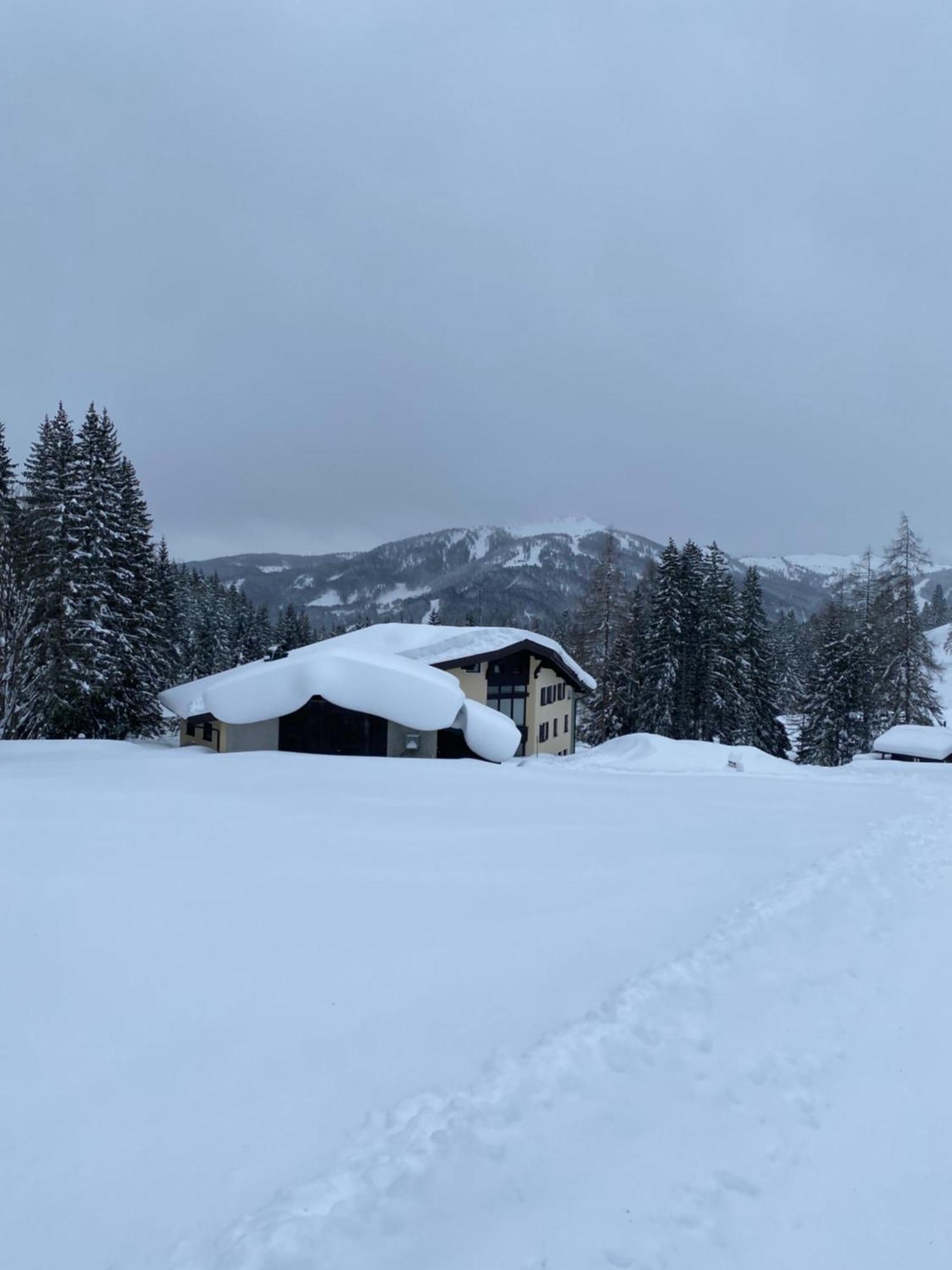 Appartementhaus Hochkoenig - Panoramablick Мюльбах Экстерьер фото