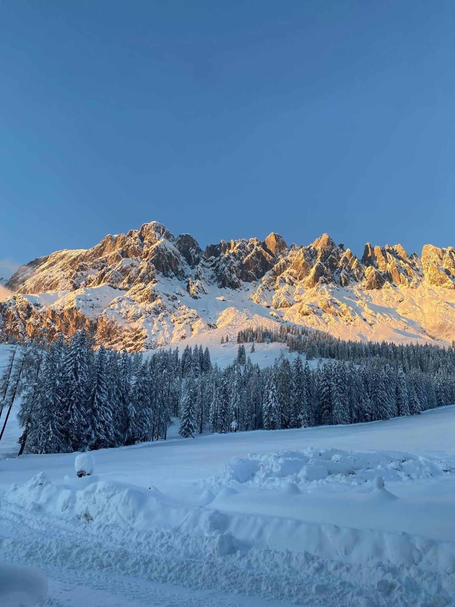 Appartementhaus Hochkoenig - Panoramablick Мюльбах Экстерьер фото